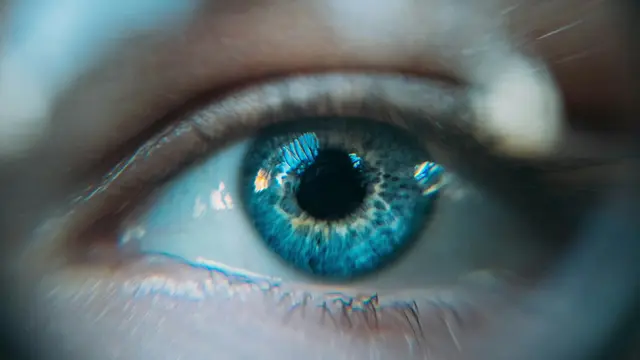 Eyes