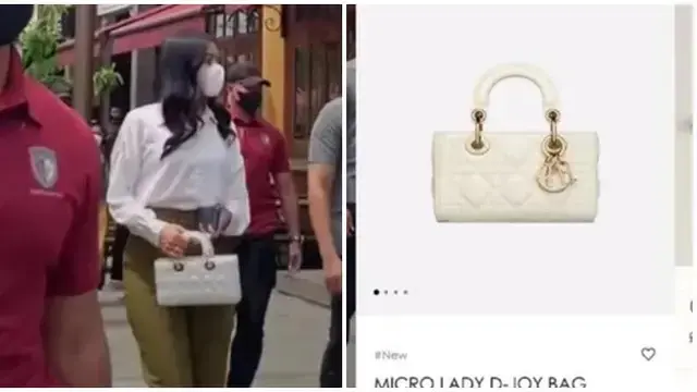 6 Taksiran Harga Tas Mewah Erina Gudono, Koleksi Berbagai Ukuran