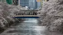 Orang-orang yang mengenakan masker pelindung untuk membantu mengekang penyebaran virus corona berkumpul di jembatan saat bunga sakura bermekaran dan kelopak bunga menutupi permukaan Sungai Meguro di Tokyo, Minggu (28/3/2021). (AP Photo/Kiichiro Sato)