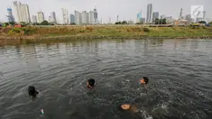 Anak-anak berenang di Kanal Banjir Barat (KBB) yang hitam di Petamburan, Jakarta, Senin (12/8/2019). Surutnya debit air KBB akibat musim kemarau dimanfaatkan anak-anak untuk bermain sambil mencari ikan. (Liputan6.com/Fery Pradolo)