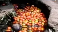 Harga Jual Hanya Rp 200/Kg, Tomat Dibuang Petani ke Sungai