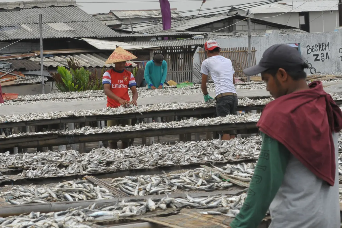 20160113-Sektor Perikanan Diprediksi Tumbuh 12 Persen-Jakarta
