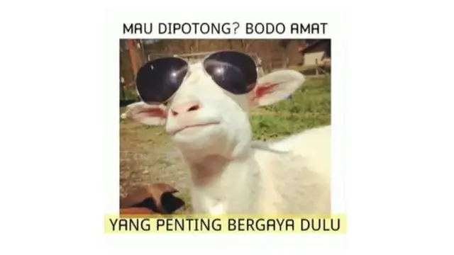 7 Meme Absurd Kambing Jelang Hari Raya Idul Adha Ini Kocak