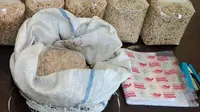 Beredar Merica Oplosan, Pelaku Nekat Campur dengan Bahan Ini