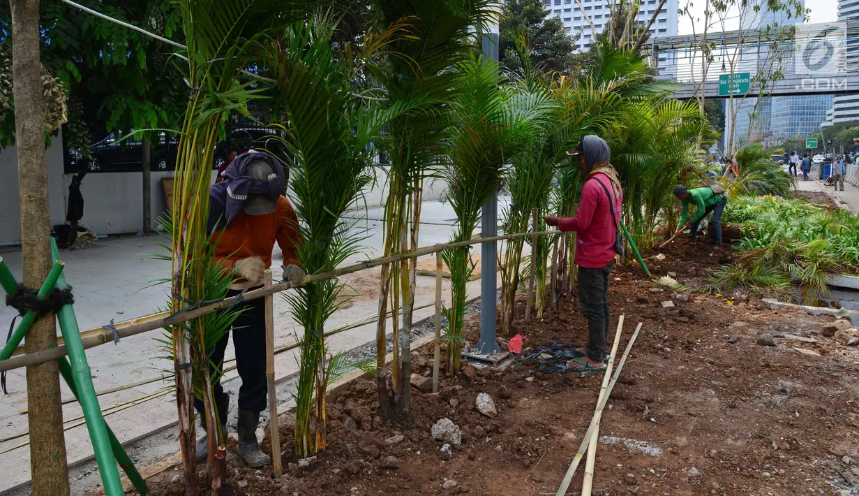 Pekerja menanam pohon di jalur pedestrian Jalan Sudirman, Jakarta, Jumat (6/7). Penanaman pohon dilakukan untuk mempercantik Jakarta jelang Asian Games 2018. (Liputan6.com/Arya Manggala)