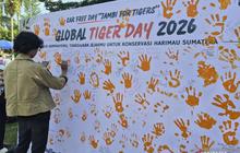 Global Tiger Day Jambi: Momentum Perkuat Kepedulian Lingkungan dan Harimau Sumatera