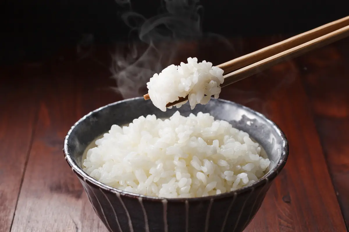 Ilustrasi nasi Jepang