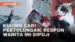 Momen tak biasa seekor kucing minta pertolongan baru-baru ini viral di media sosial. Momen tersebut direkam oleh seorang wanita yang tiba-tiba didekati kucing yang terus mengeong. Wanita tersebut mengikuti arah yang dituju si kucing hingga akhirnya m...