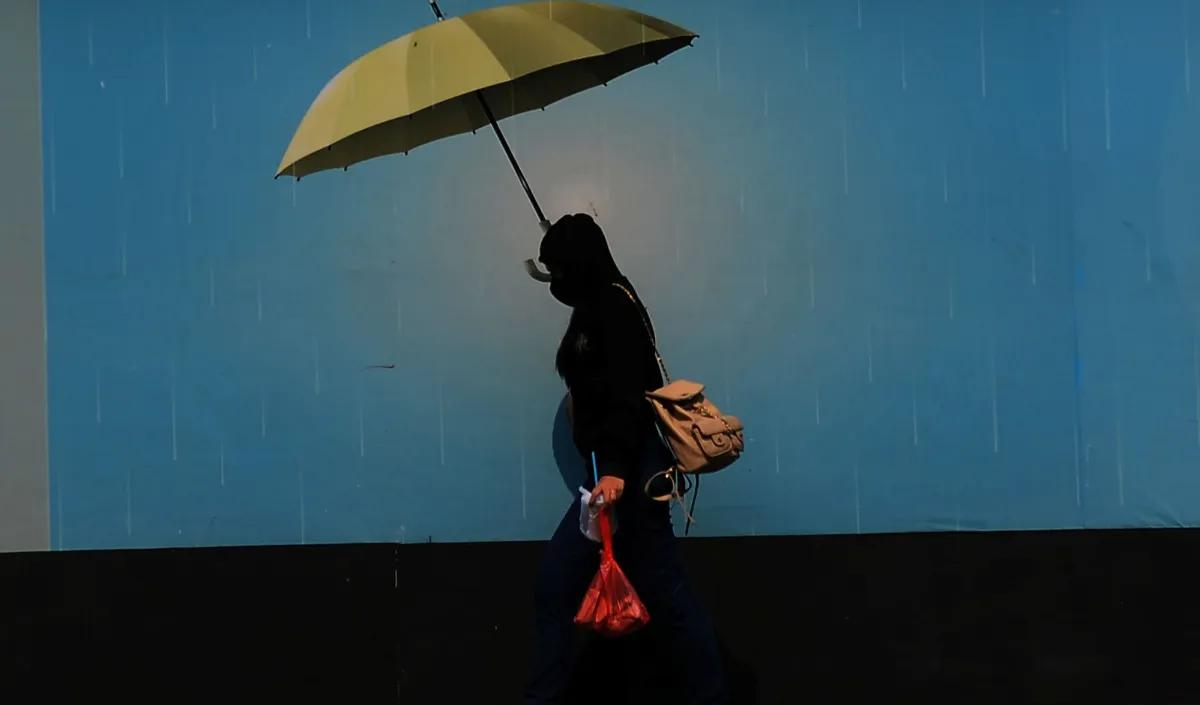 El Nino adalah fenomena pemanasan suhu muka laut di atas kondisi normalnya di Samudera Pasifik bagian tengah.<br>