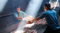 Pekerja membawa ikan lele yang akan diasapkan menggunakan kayu bakar di Desa Pengasinan, Gunung Sindur, Bogor, Rabu (30/9/2020). Pengasapan lele satu-satunya di wilayah Bogor dijual Rp 100.000 per kg yang berisi sekitar 25 ekor. (Liputan6.com/Fery Pradolo)