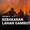 Kebakaran Lahan Gambut