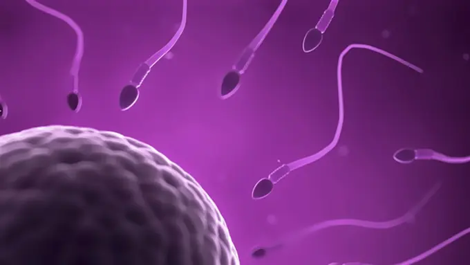 Foto: copyright Thinkstockphotos.com