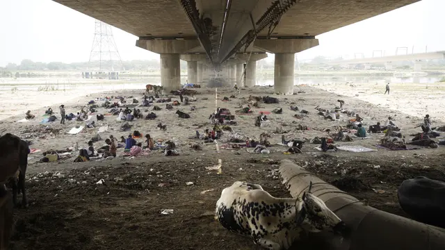 Gelombang Panas Ekstrem Bikin Tunawisma India Tidur di Bawah Jembatan