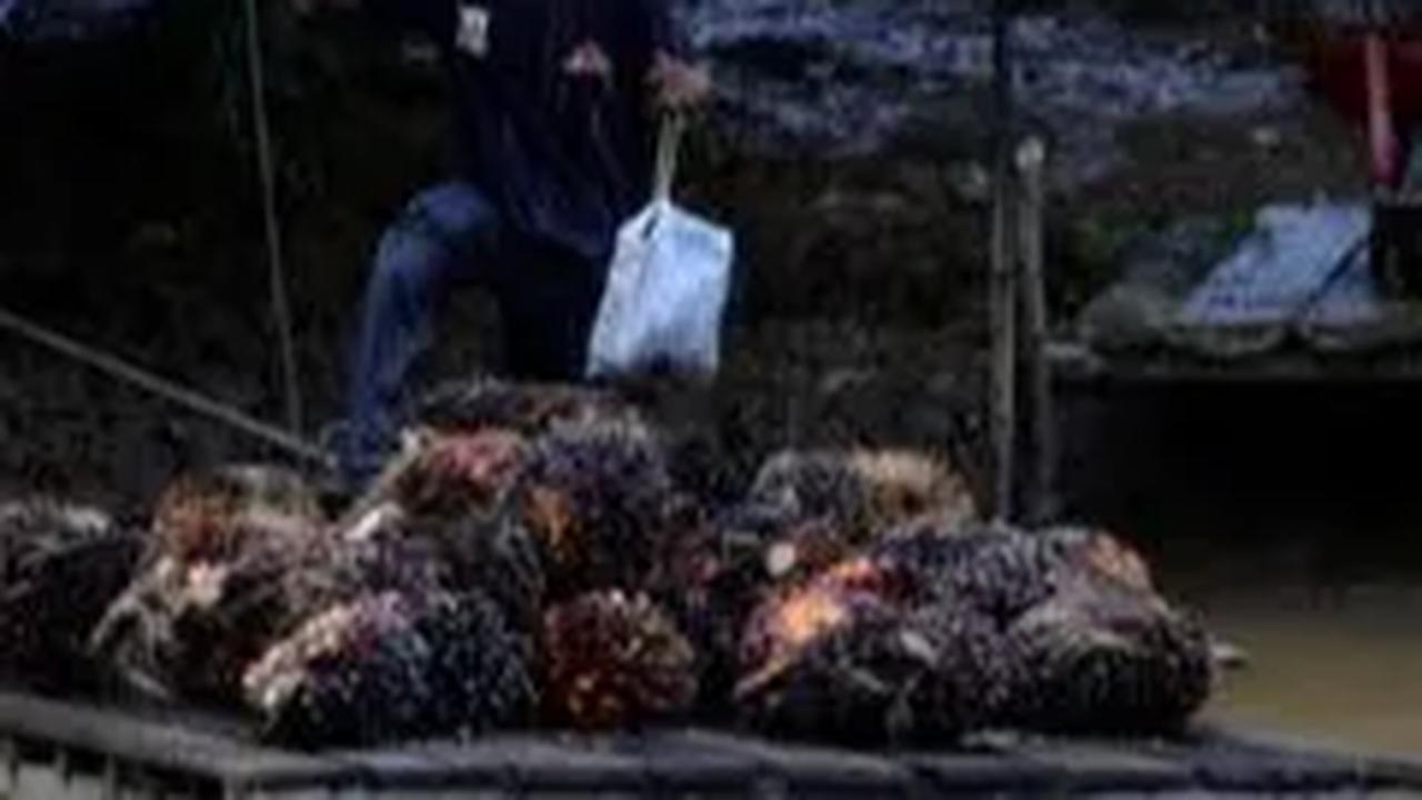 Gandeng Perusahaan Malaysia, PTPN VI Olah Limbah Cair Sawit Jadi Compressed Biomethane Gas
