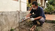 9 Cara Atasi Rayap di Rumah, Cegah Kerusakan Makin Parah