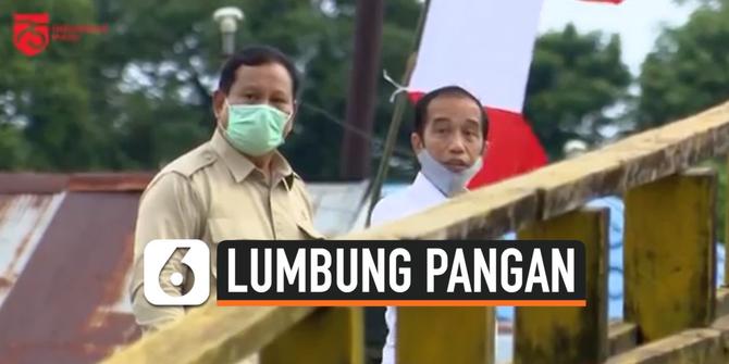VIDEO: Alasan Jokowi Tunjuk Prabowo Jadi Leading Sector Lumbung Pangan Nasional