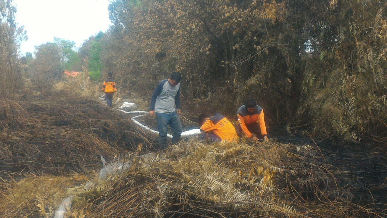 Bantuan Alam bagi Para Pemadam Kebakaran Lahan di Meranti