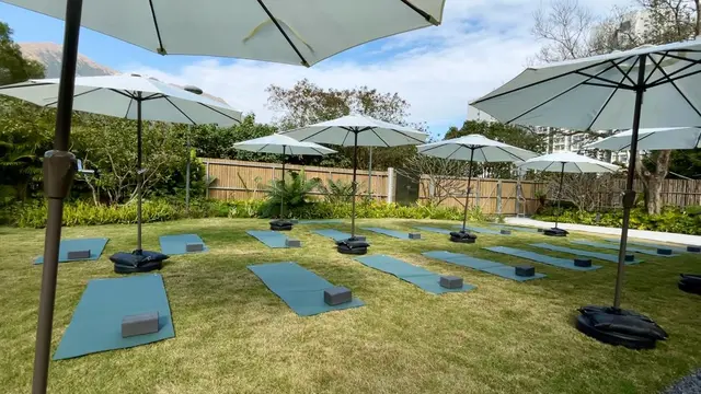 Panduan Wisata Wellness di Hong Kong, dari Terapi Gong hingga ‘Mandi Hutan’