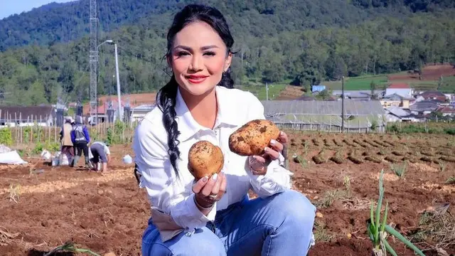 Gaya Krisdayanti Panen Kentang di Malang Disorot, Pakai Sepatu Fendi Rp6,5 Juta