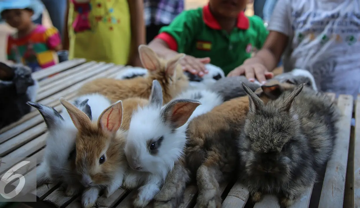 Sejumlah anak melihat kelinci dalam pameran flora dan fauna di Jakarta, Sabtu (19/9/2015). Pameran yang digelar selama 30 hari menghadirkan 150 stand bursa tanaman hias, tanaman buah, tanaman herbal, dan hewan peliharaan. (Liputan6.com/Faizal Fanani)