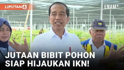 VIDEO: Hampir Selesai, Presiden Jokowi Yakin Persemaian Mentawir Siap Hijaukan IKN