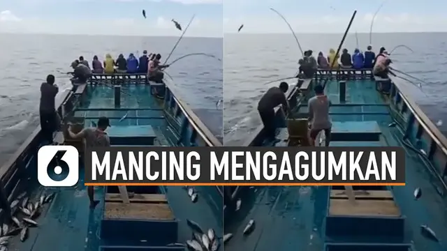 Nelayan ternyata mempunyai cara sendiri dalam memancing ikan. Kerja sama tim sangat dibutuhkan dalam melakukannya.