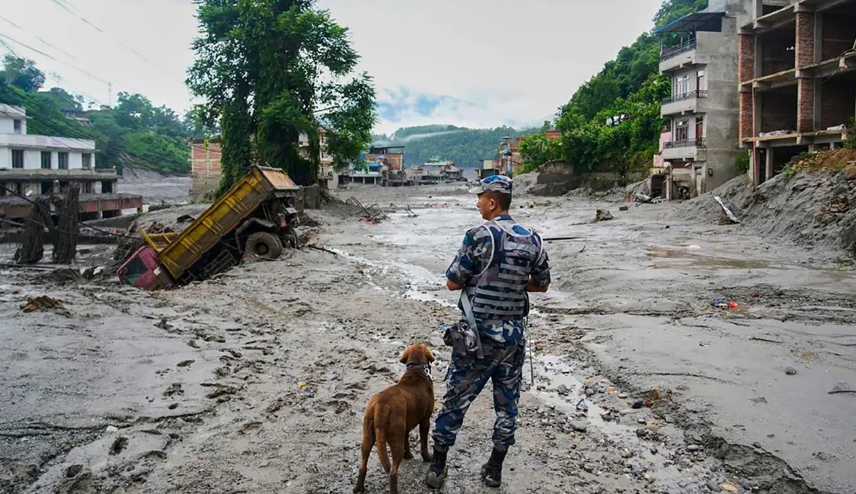 Seorang polisi bersama anjing pelacak mengamati kerusakan pascabanjir bandang di Devighat, distrik Nuwakot, Nepal, Kamis, 27 Agustus 2026. (Foto AP/Niranjan Shrestha)