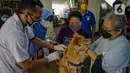 Petugas menyuntikkan vaksin rabies pada seekor anjing peliharaan warga di kantor kelurahan Petukangan Selatan, Jakarta, Rabu (15/9/2021). Dinas Ketahanan Pangan dan Pertanian memberikan vaksinasi rabies bagi hewan peliharaan milik warga untuk mengantisipasi penyakit rabies. (Liputan6.com/Faizal Fana
