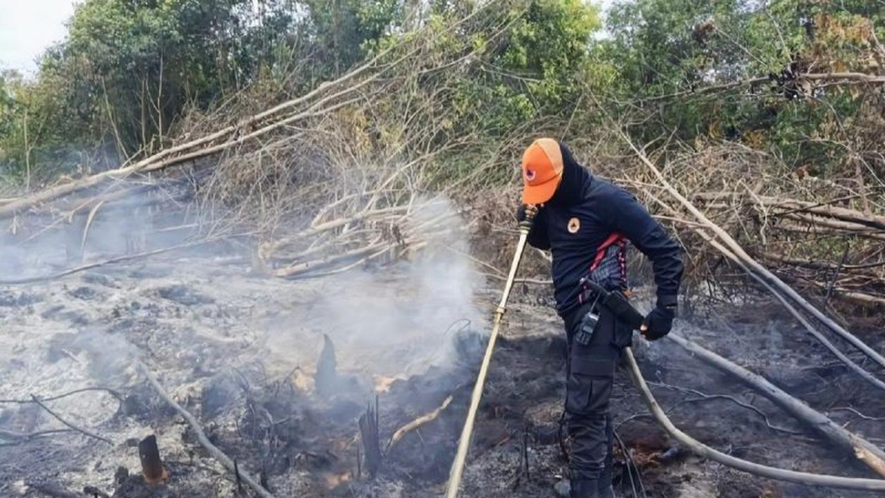 BPBD Kotim Sigap Tanggulangi Kebakaran Lahan di Kebun Warga, Imbau Masyarakat Waspada