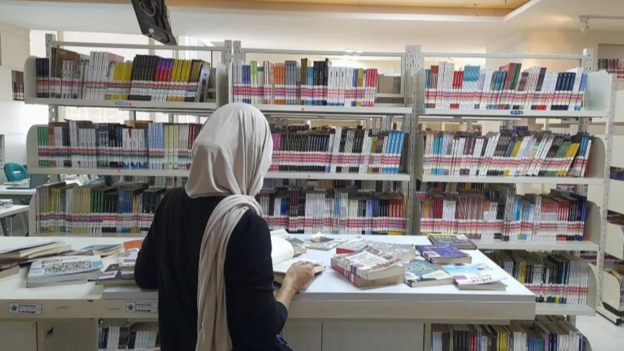 Wacana Penutupan Prodi, Kemendiktisaintek Tegaskan Ilmu Sosial dan Humaniora Tetap Penting