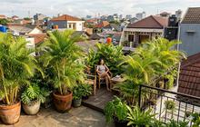 12 Tanaman Hias yang Tahan Terkena Percikan Air Hujan Setiap Hari, Cocok untuk Mempercantik Halaman Rumah