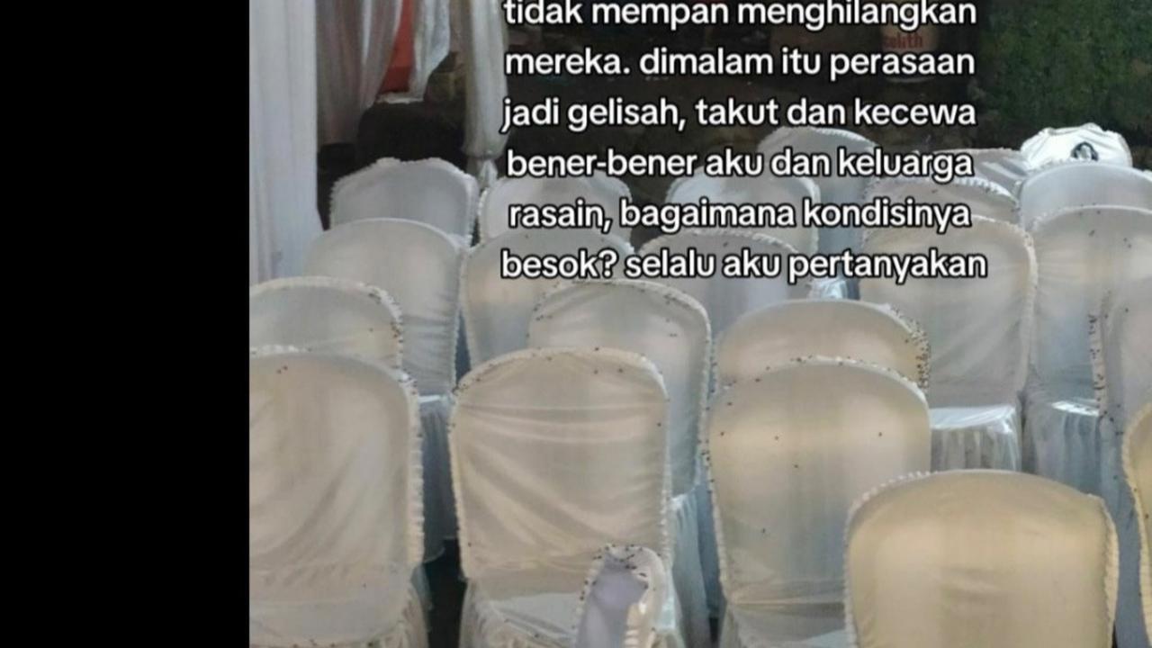 Diserbu Ribuan Lalat