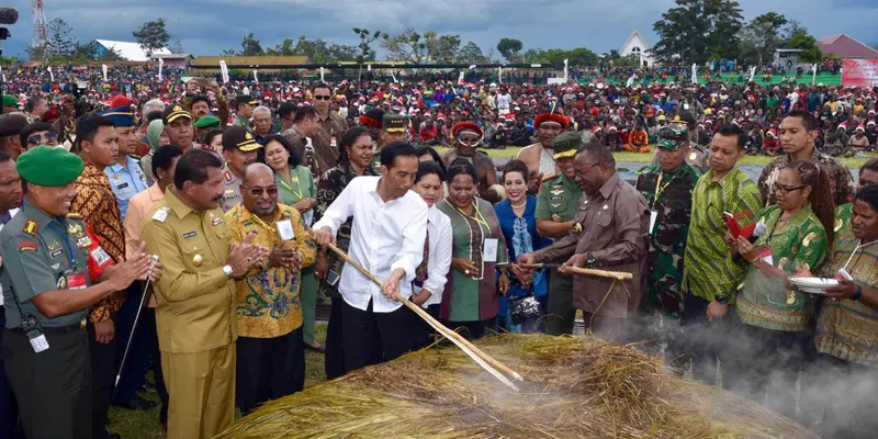 20151230-Keseruan Jokowi Ikuti Upacara Bakar Batu Bersama‎ Warga di Wamena-Papua