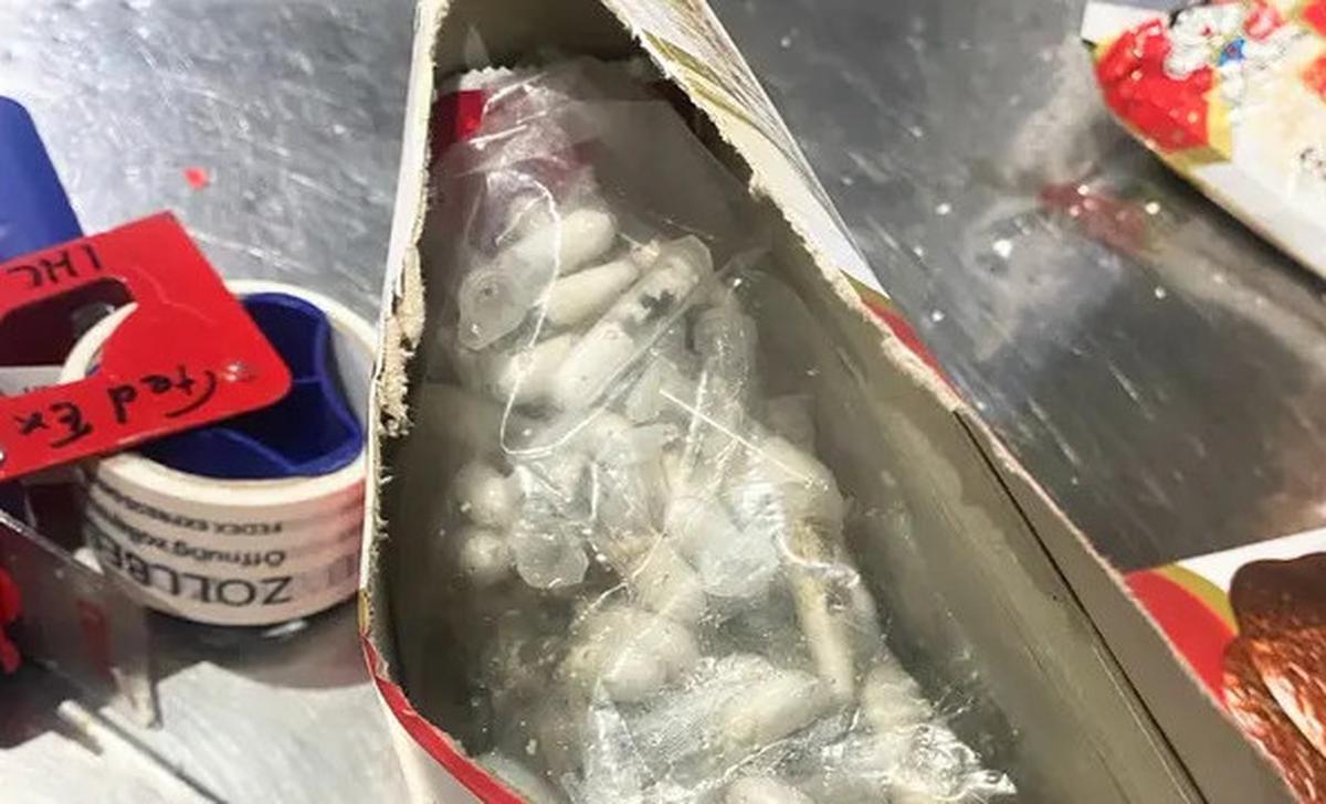 Speechless! 1.500 Tarantula di Kotak Kue Bolu, Terbongkar Akibat Bau Menyengat