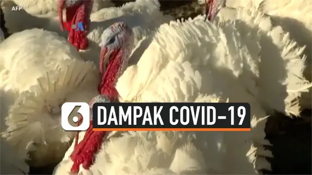 VIDEO: Semangat Bersyukur di Tengah Keprihatinan Pandemi Covid-19