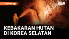Kebakaran Hutan di Korea Selatan Hancurkan Kuil Berusia 1.300 Tahun