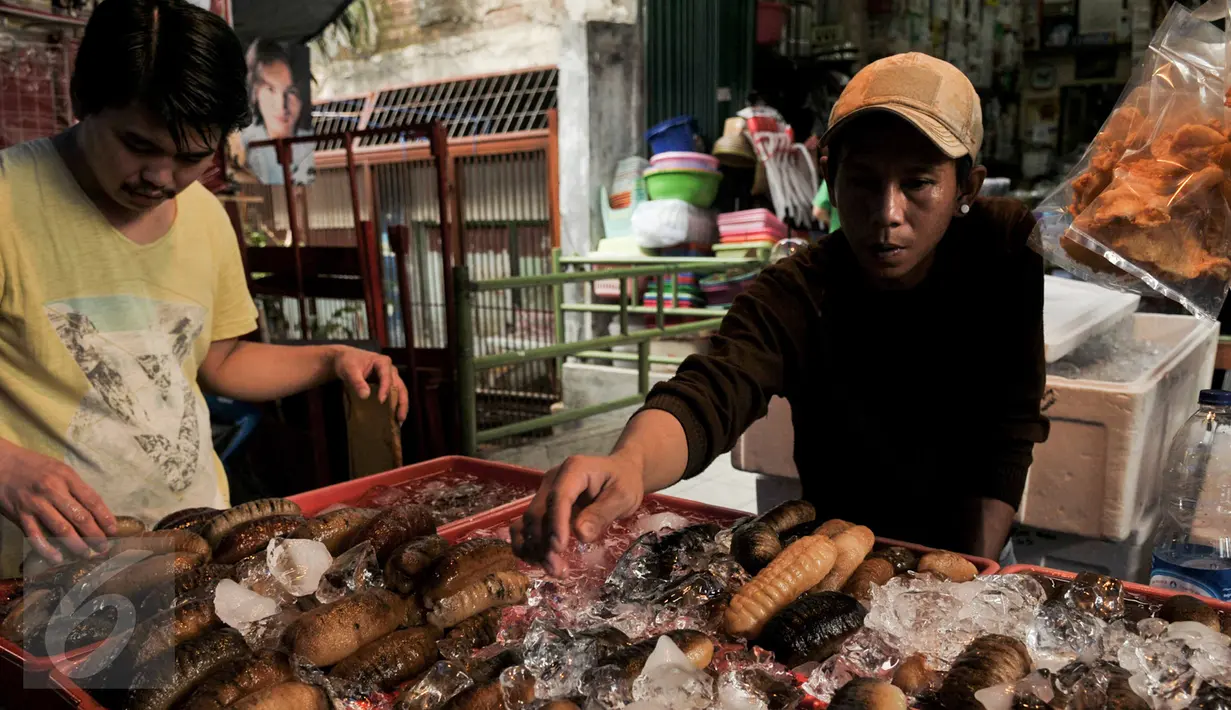 Pedagang teripang melayani calon pembeli di kawasan Petak Sembilan, Jakarta, Selasa (24/1). Jelang hari raya Imlek, teripang dan ikan Bandeng banyak dicari untuk menu makan bersama keluarga. (Liputan6.com/Yoppy Renato)
