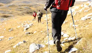 Pilihan Tongkat Hiking Terbaik agar Pendakian Lebih Nyaman dan Minim Kelelahan