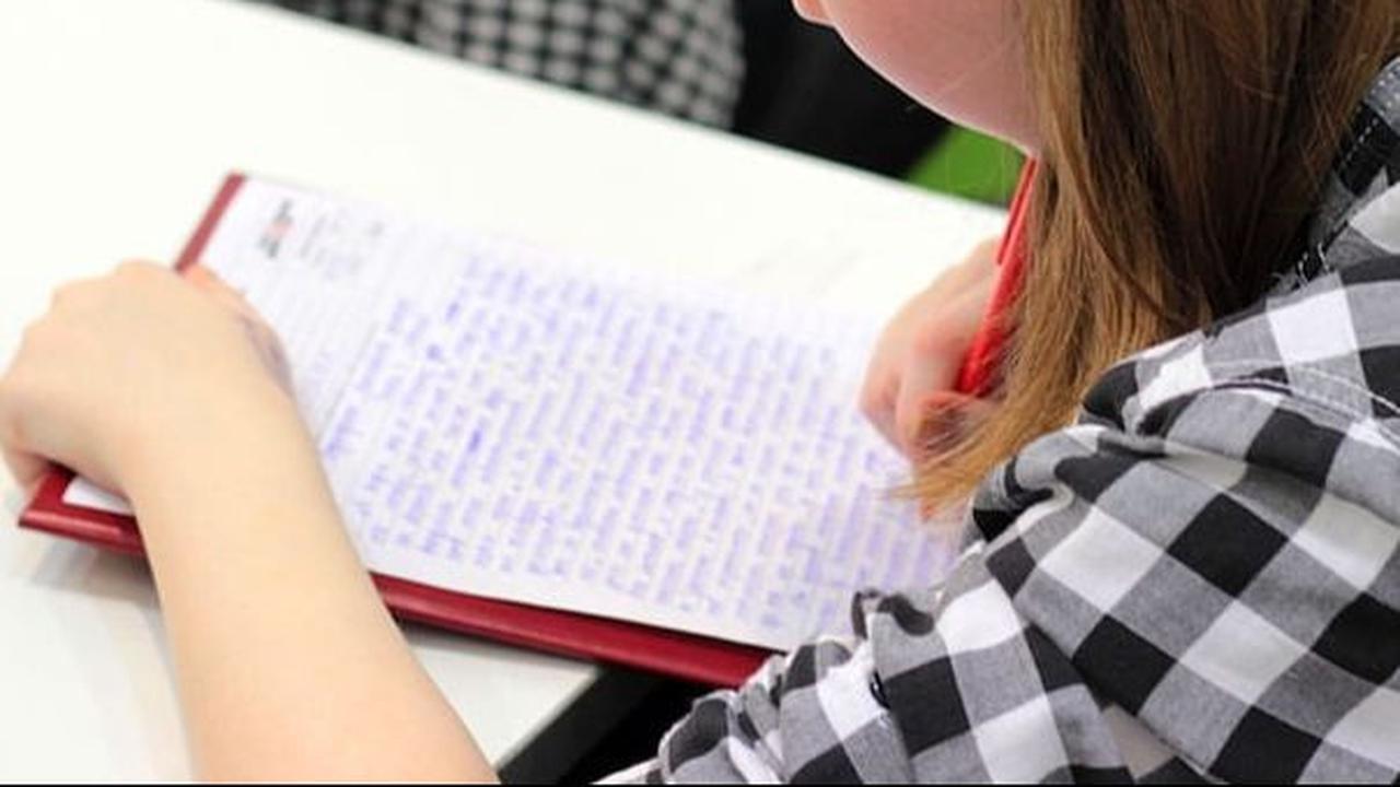 Essay adalah tulisan yang menggambarkan opini penulis tentang suatu subjek. Di dalam karya tulis ini, mengandung suatu topik yang diulas dengan sudut pandang pribadi si penulis.