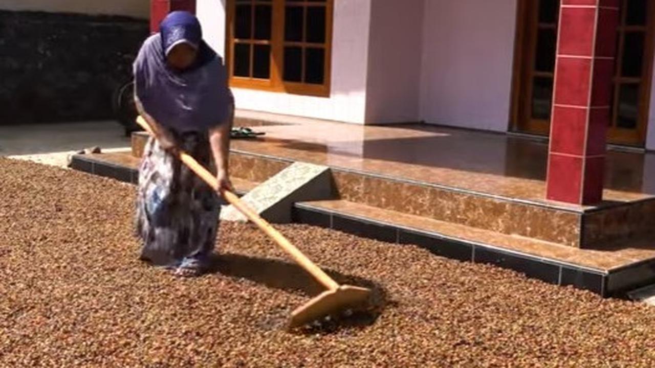 Kopi Banjarsari Magelang
