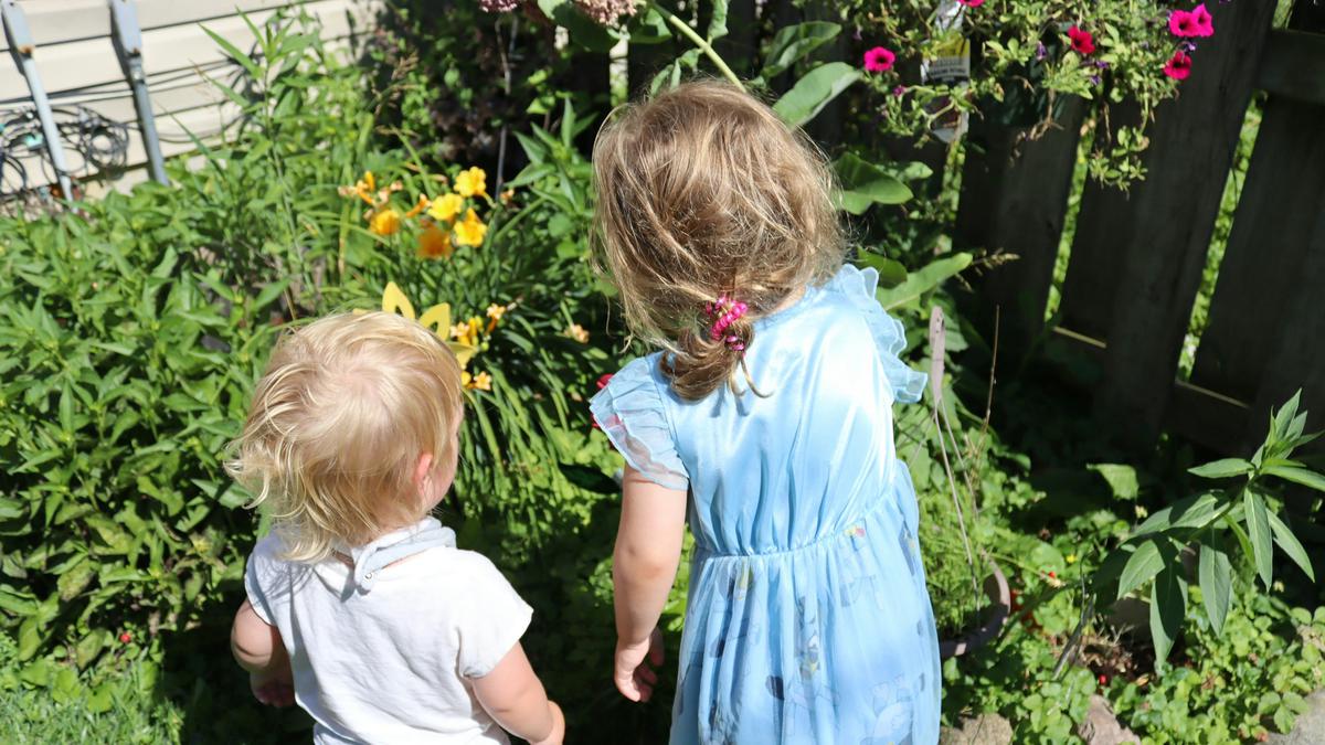 Berkebun Sejak Dini, Cara Menumbuhkan Kreativitas dan Tanggung Jawab Anak