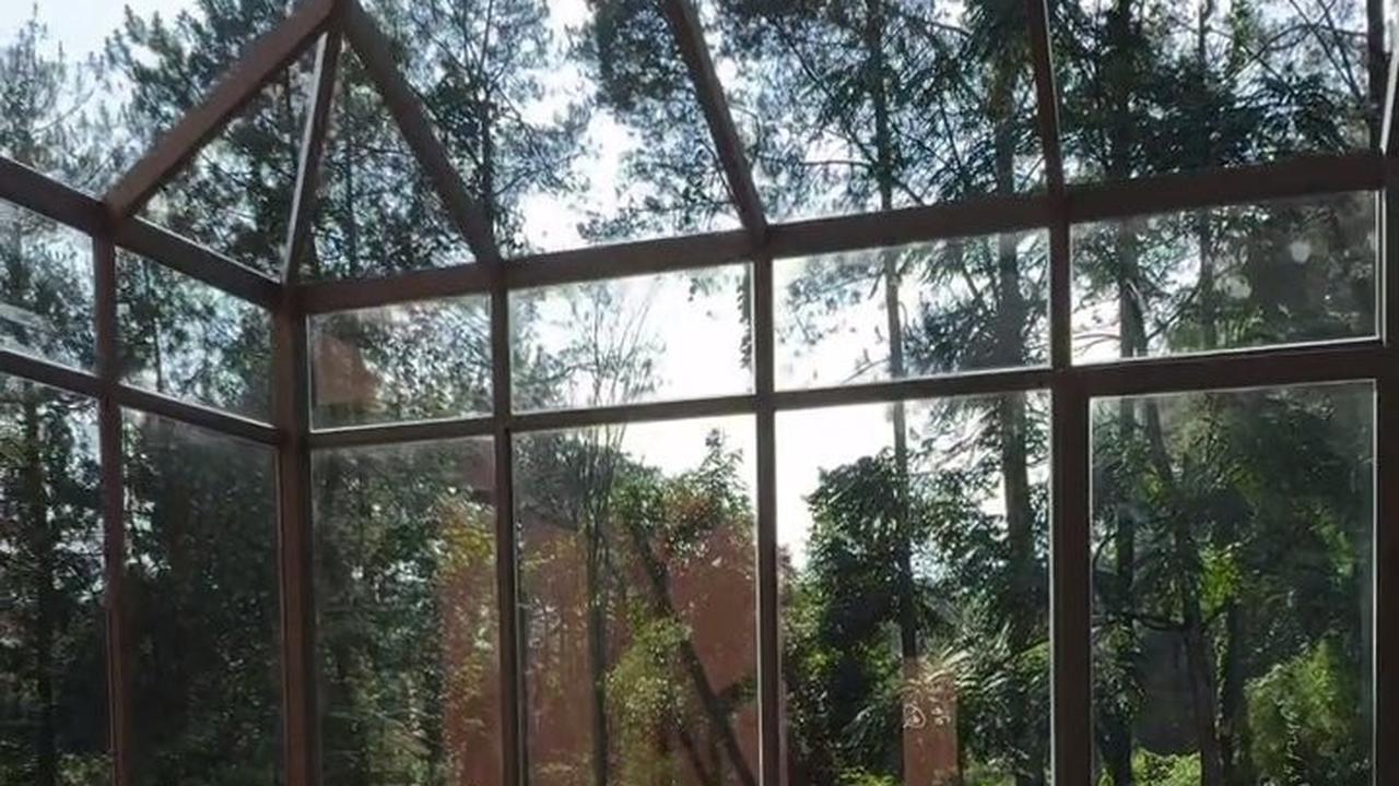 9 Potret Rumah Zaskia Sungkar dan Irwansyah di Tengah Hutan yang Masih dalam Proses, Perlihatkan Suasana Asri