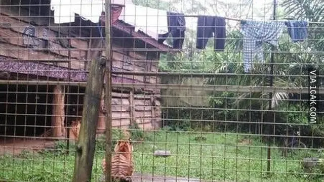 6 Lokasi Jemur Pakaian Ini Anti-mainstream, Berani Tiru?
