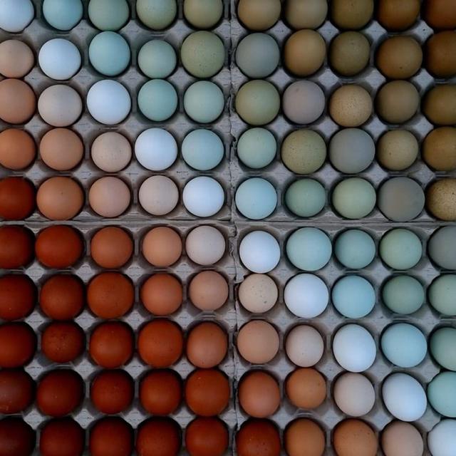 6 Potret Makanan Tersusun Rapi dalam Wadah Ini Menarik, Enak Dilihat