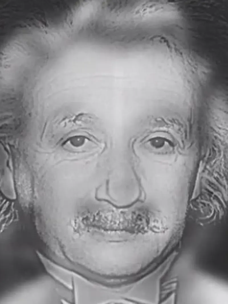 Tebak, ini wajah Albert Einstein atau Marlyn Monroe?