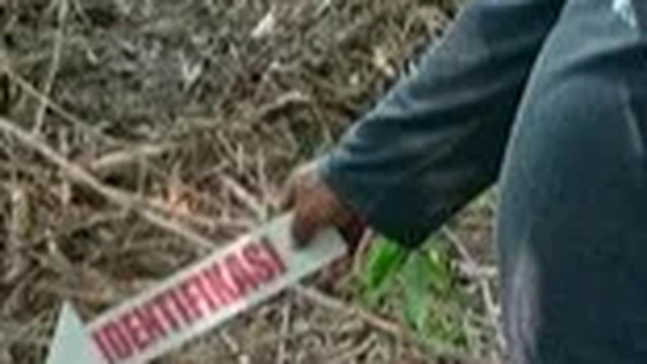 "Ketemu baru kaki dua biji, mulai batas mata kaki. Kemudian tangan kiri sampai batas pergelangan tangan. Udah itu aja," ungkap Ardi.