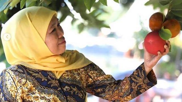 Khofifah Indar Parawansa