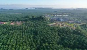 BWPT Siapkan Rp 37,29 Miliar untuk Lunasi Pokok Sukuk