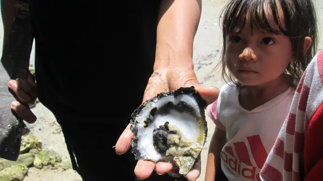 Nelayan Pasikolaga Muna memperlhatkan tangkapan kerang di pesisir.(Liputan6.com/Ahmad Akbar Fua)