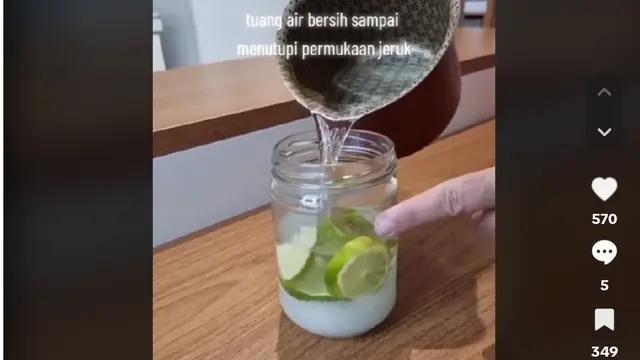 Bukan Obat Serangga, Begini Trik Ampuh Basmi Nyamuk dan Lalat dengan 1 Jenis Minyak